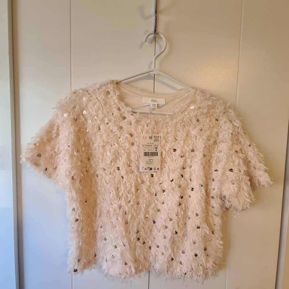 Zara Cream Sequin Short Sleeve Top